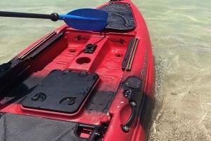Aventura matutina en kayak por el mar Rojo en Yeda