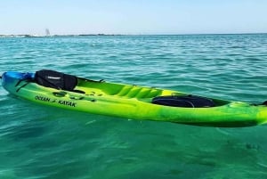 Aventura matutina en kayak por el mar Rojo en Yeda