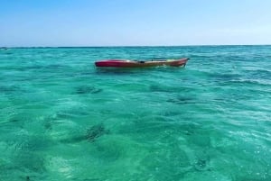 Aventura matutina en kayak por el mar Rojo en Yeda