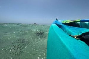 Aventura matutina en kayak por el mar Rojo en Yeda