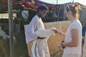 Jeddah: Private Bedouin-Style Desert Safari with Quad Bike