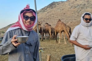 Jeddah: Private Bedouin-Style Desert Safari with Quad Bike