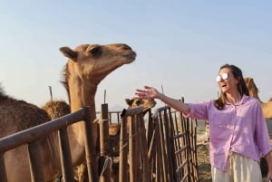 Jeddah: Private Bedouin-Style Desert Safari with Quad Bike