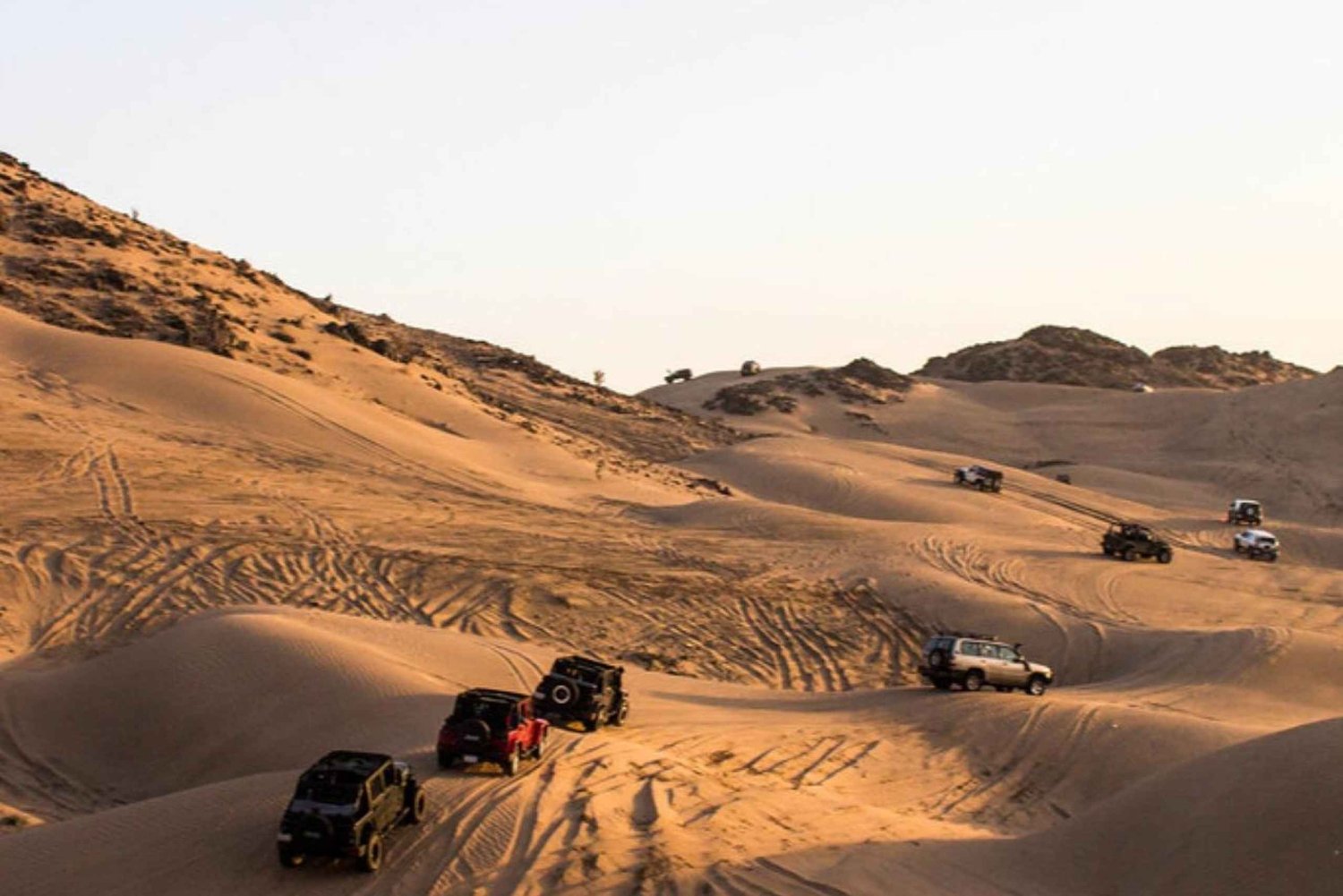 Yeda: paseo en quad, rebaño beduino y visita a una granja del desierto.