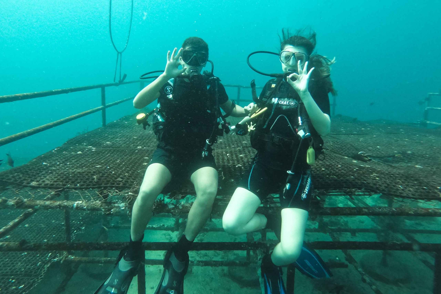 Jeddah: Red sea shore diving in Saudi Arabia