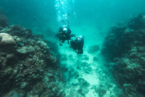 Jeddah: Red sea shore diving