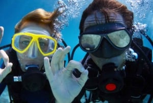 Jeddah: Viaje de buceo con traslados al hotel