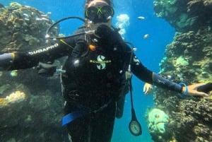 Jeddah: Viaje de buceo con traslados al hotel