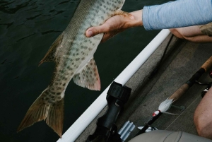 Jeddah: Urheilukalastusretki