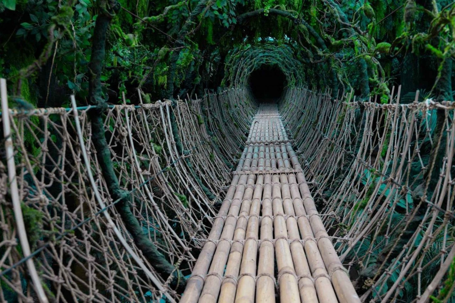 Gedda: Tour della Terra Tropicale per famiglie con pattinaggio e bowling