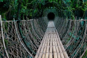 Gedda: Tour della Terra Tropicale per famiglie con pattinaggio e bowling