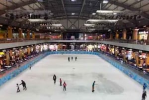 Jeddah: Tropisch Land Familietour met schaatsen en bowlen