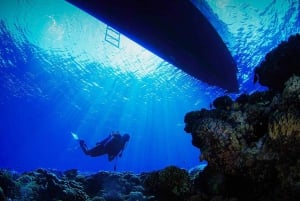 Jeddah's Oceanic Wonders: Dive into the Red Sea