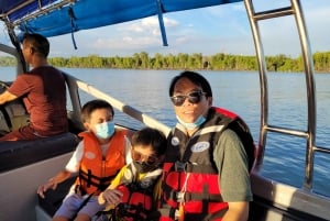 Kuala Selangorin tulikärpästen taikaa ja iltaristeily