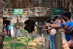 Медина: экскурсия по историческим достопримечательностям города