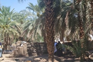 Медина: экскурсия по историческим достопримечательностям города