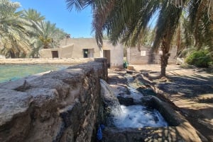 Медина: экскурсия по историческим достопримечательностям города