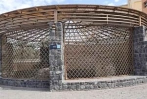 Medina: Seerah Landmarks Tour med guide og transport