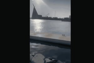 マッカまたはジッダからアルハダ、アルシャファ、タイフ市内観光ツアー