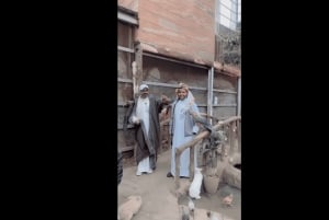 マッカまたはジッダからアルハダ、アルシャファ、タイフ市内観光ツアー