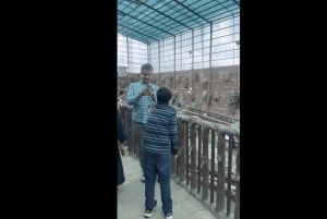 マッカまたはジッダからアルハダ、アルシャファ、タイフ市内観光ツアー