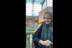 マッカまたはジッダからアルハダ、アルシャファ、タイフ市内観光ツアー