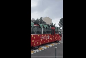 マッカまたはジッダからアルハダ、アルシャファ、タイフ市内観光ツアー