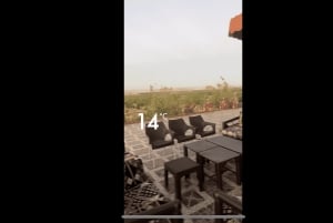 マッカまたはジッダからアルハダ、アルシャファ、タイフ市内観光ツアー