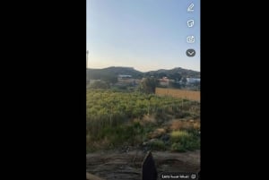 マッカまたはジッダからアルハダ、アルシャファ、タイフ市内観光ツアー