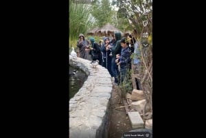 マッカまたはジッダからアルハダ、アルシャファ、タイフ市内観光ツアー