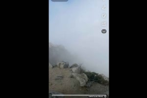 マッカまたはジッダからアルハダ、アルシャファ、タイフ市内観光ツアー