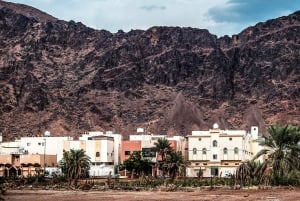 Medina: Heldagstur til Badr med frokost og afhentning på hotellet