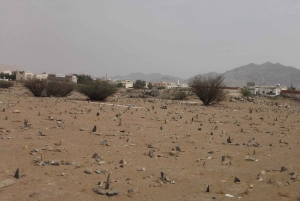 Medina: Heldagstur til Badr med frokost og afhentning på hotellet