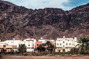 Medina: Heldagstur til Badr med frokost og afhentning på hotellet