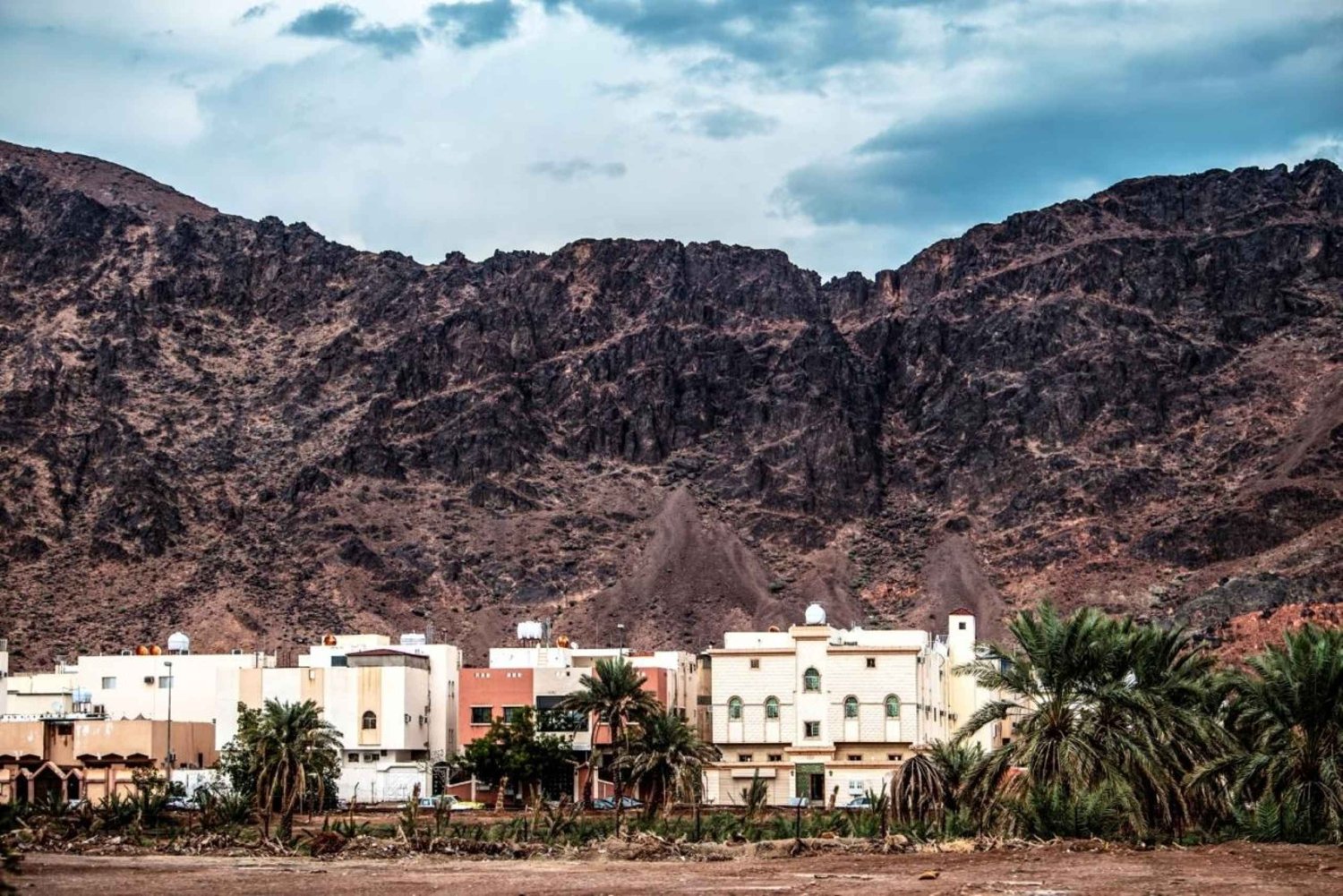 Medina: Uhud Mountain and Seven Mosques Experience Tour