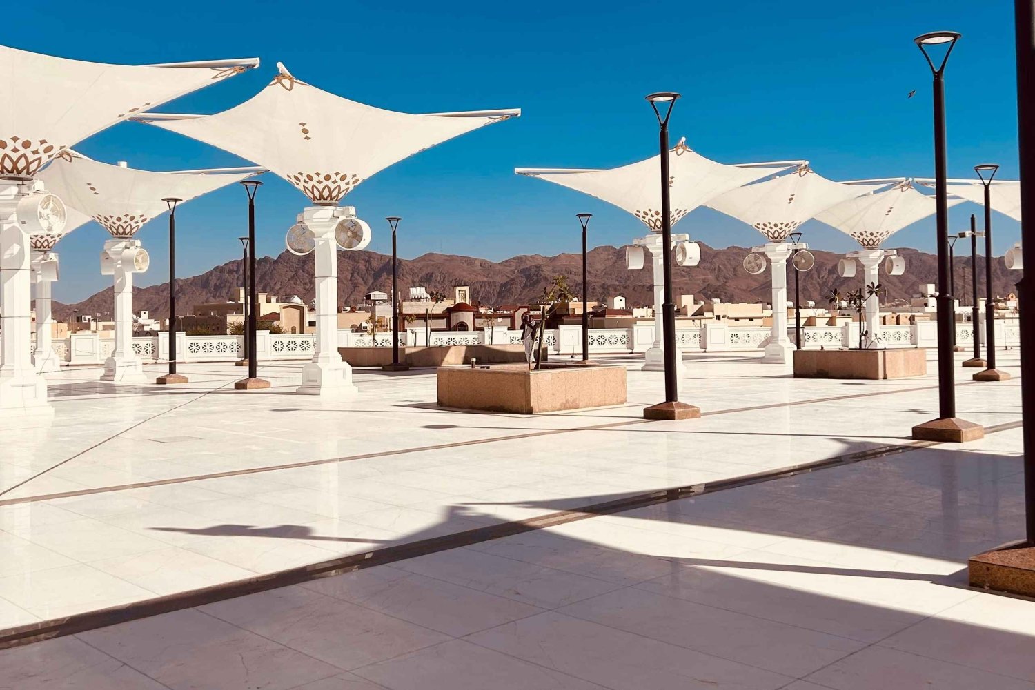 Medina: tour turístico por Ziyarat