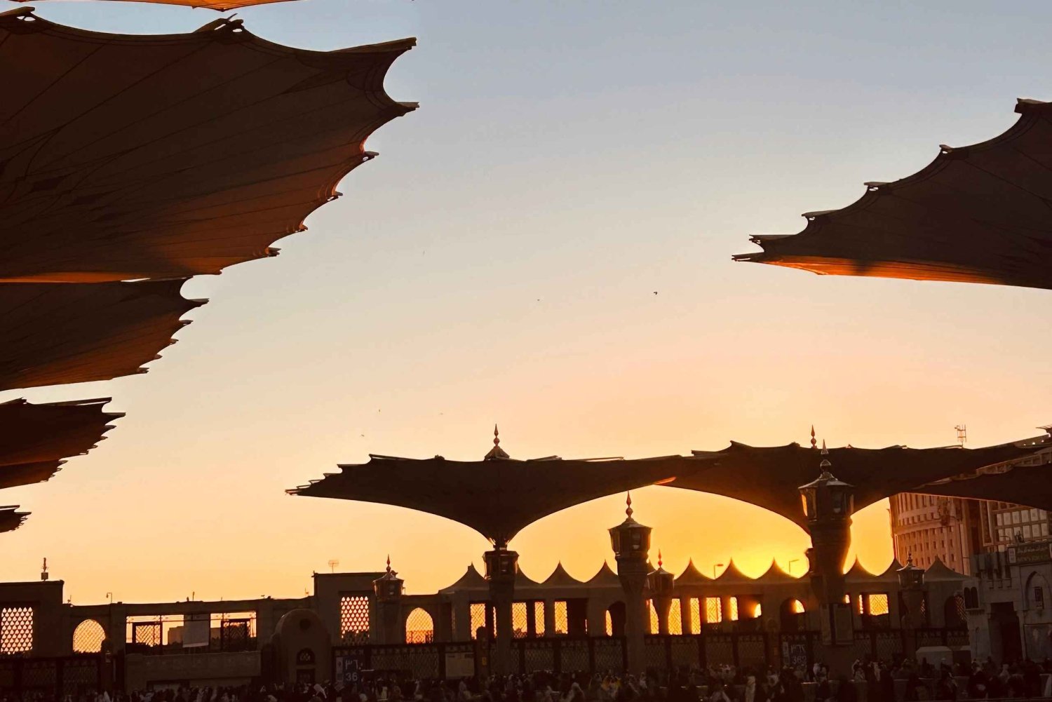 Medina: tour turístico por Ziyarat