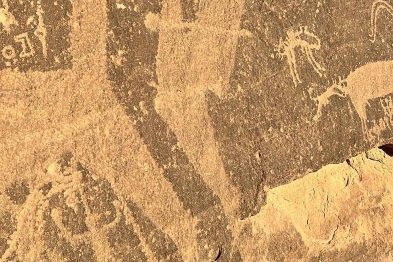 Najran: visita guiada de 2 dias a Al-Ukhdood e aos poços de Hima