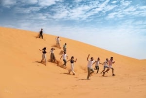 Esperienza nel campo del deserto del Parco nazionale a Riyadh
