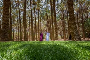 Aventura en el Oasis de Alula