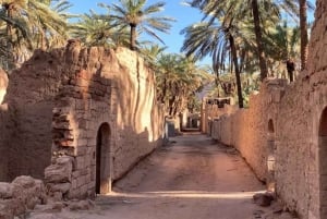 Aventura en el Oasis de Alula