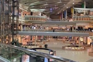 リヤドのプレミアム1日観光ツアー（キングダムタワー訪問）をお楽しみください