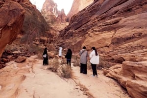 Частная экскурсия по древним местам Дадана на старинном Land Rover