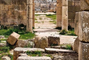 Excursion d'une journée : Jerash - Château d'Ajloun depuis Amman