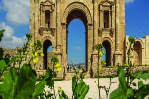 Excursión de un día : Jerash - Castillo de Ajloun Desde Ammán