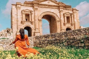 Dagtocht : Jerash - Kasteel Ajloun vanuit Amman