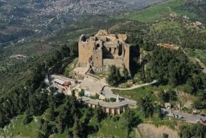 Wycieczka jednodniowa: Jerash i zamek Ajloun z Ammanu