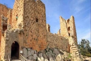 Dagtocht: Jerash en Ajloun kasteel vanuit Amman