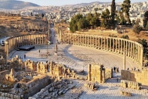 Excursión de un día: Jerash y el castillo de Ajloun Desde Ammán
