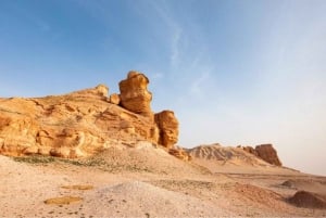 Qassim Heritage Tour: Kultur, markeder og traditioner